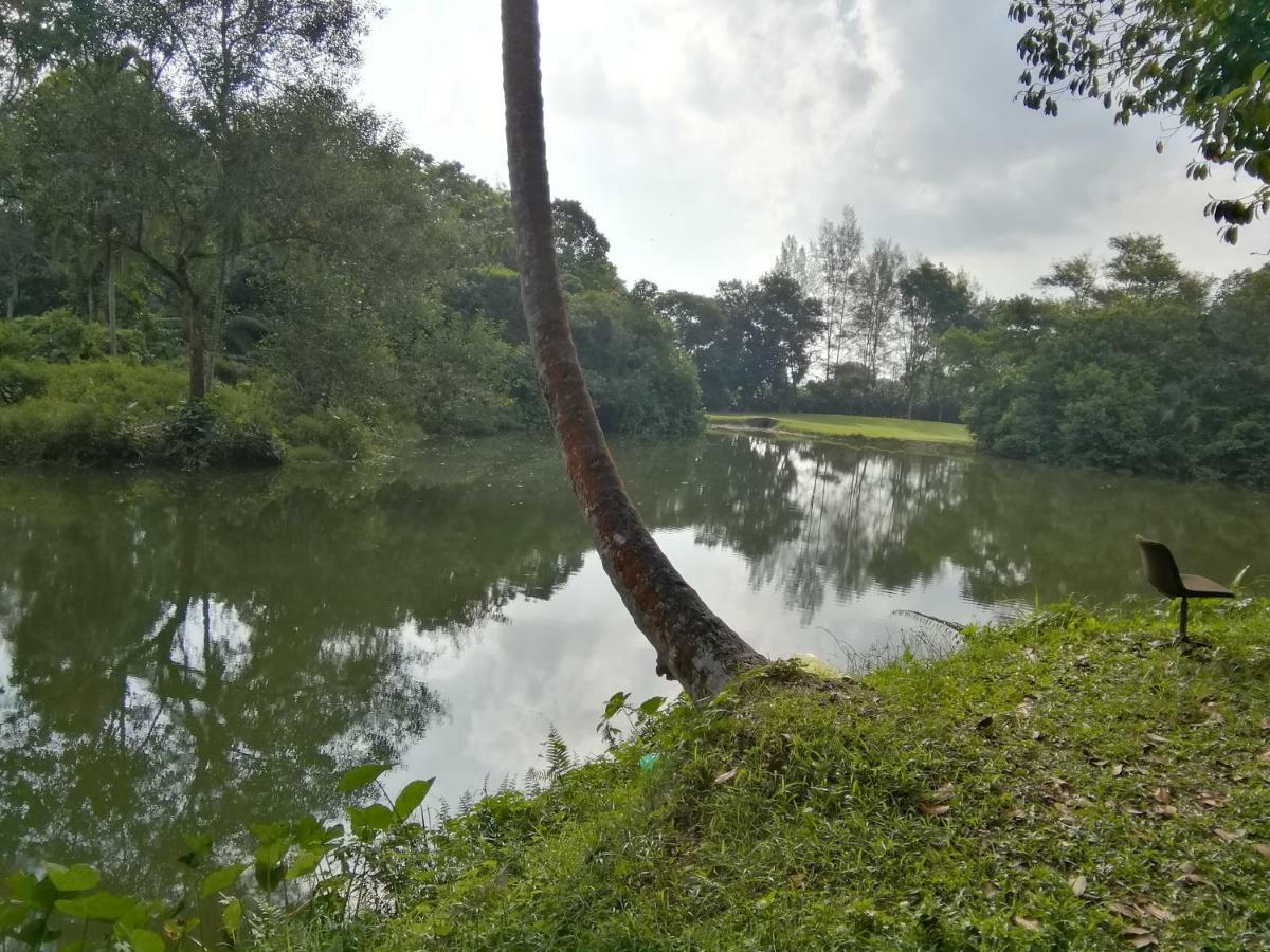 Janaview Taiping Hotel Екстериор снимка